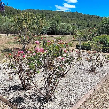 With Private Pool And Jacuzzi Hotel Félines-Minervois